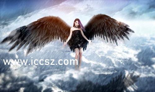 国产系列在线亚洲,探索本土影视新天地